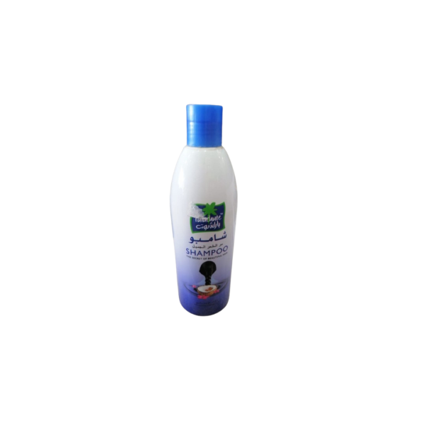 Parachute Shampoo 380ml